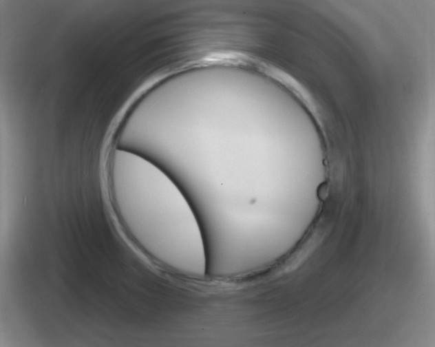 X0000112071235201007221000