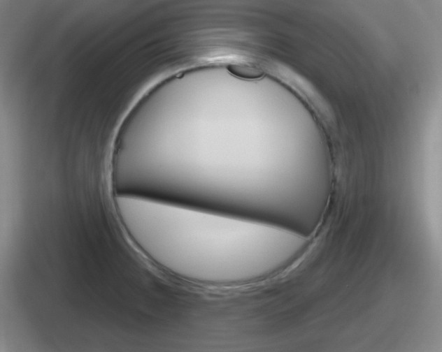 X0000112071236201007221000