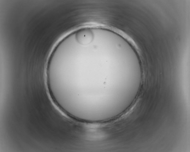X0000112071239201007221000