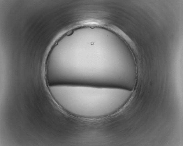 X0000112071240201007221000