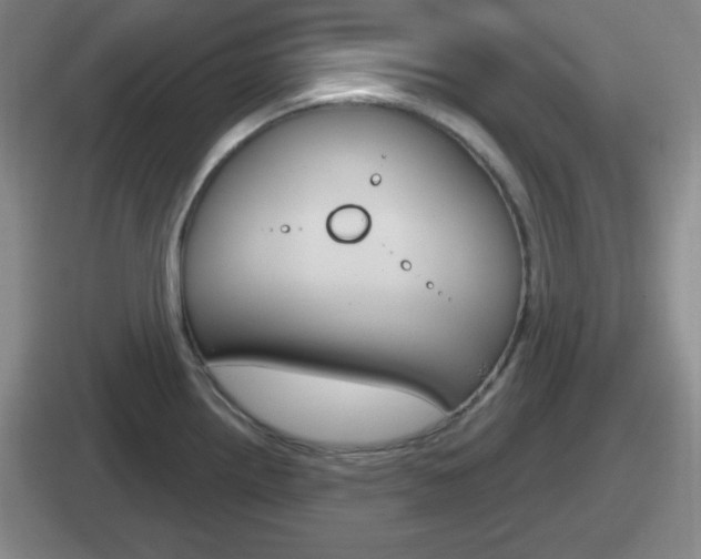 X0000112071242201007221000