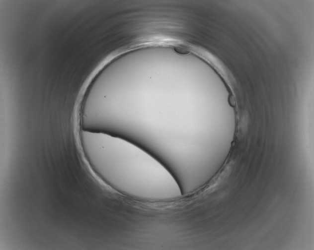 X0000112071243201007221000