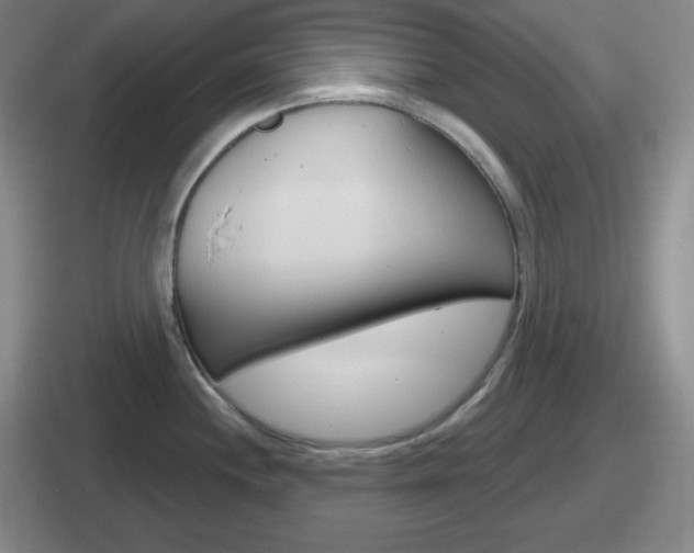 X0000112071244201007221000