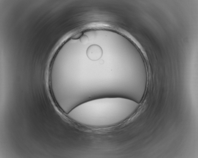 X0000112071245201007221000