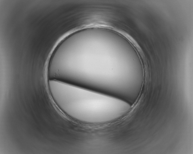 X0000112071246201007221000