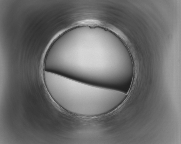 X0000112071248201007221000