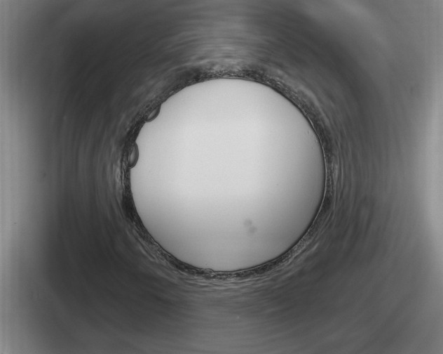 X0000112071250201007221000