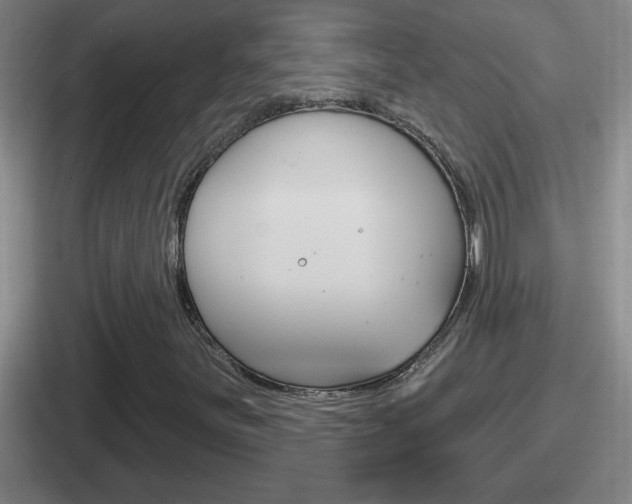 X0000112071251201007221000