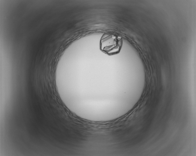 X0000112071253201007221000