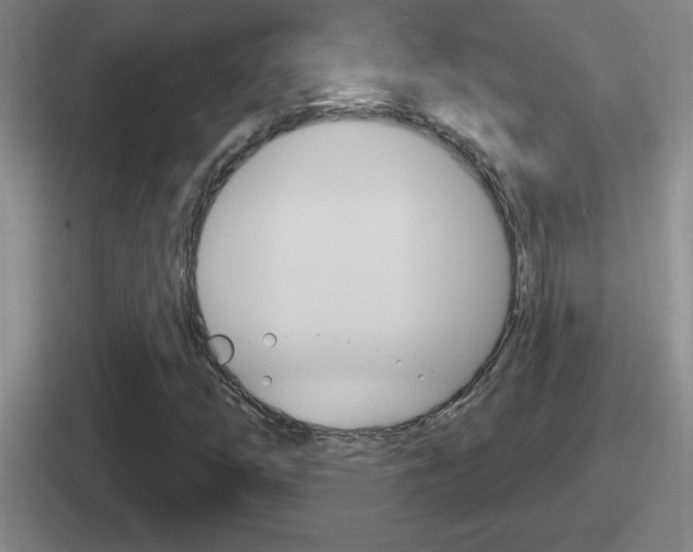 X0000112071254201007221000