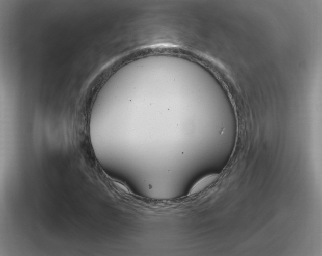 X0000112071255201007221000