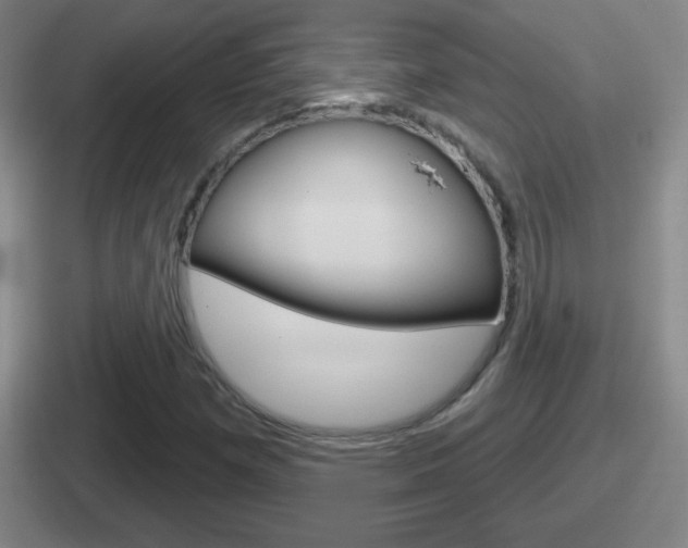 X0000112071257201007221000