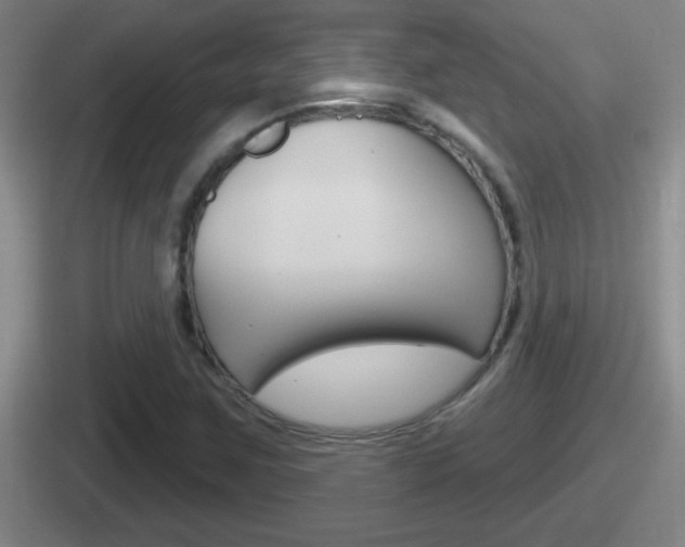 X0000112071259201007221000