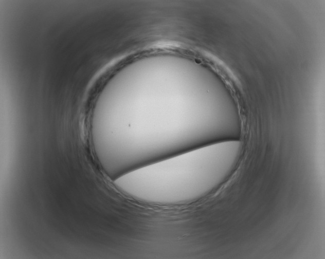 X0000112071262201007221000