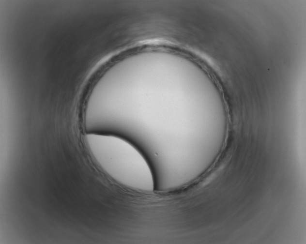 X0000112071263201007221000