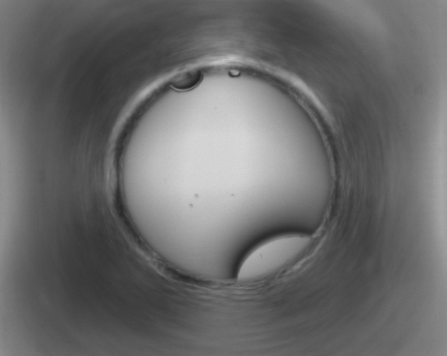 X0000112071270201007220959