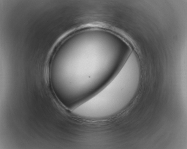 X0000112071272201007220959