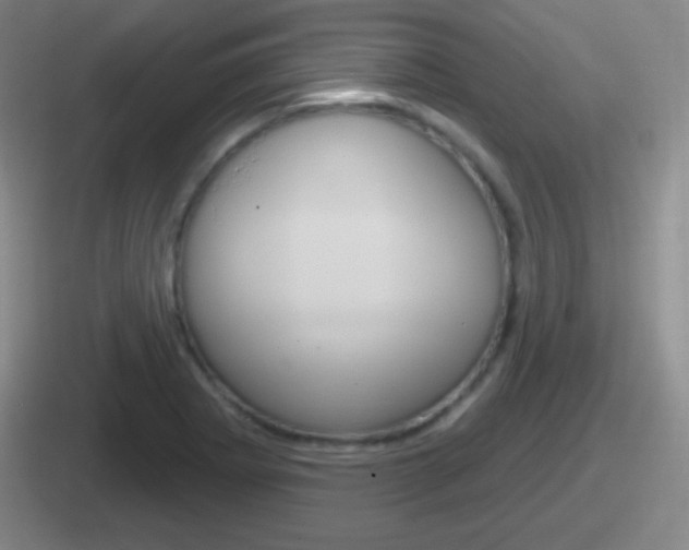 X0000112071273201007220959