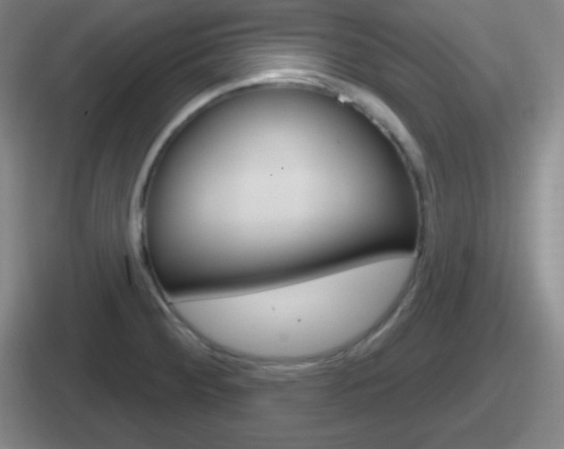 X0000112071284201007220959