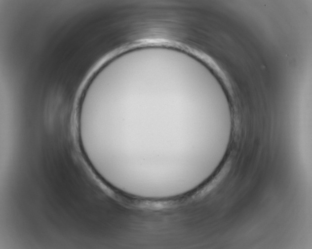 X0000112071286201007220959