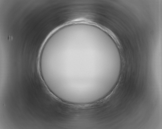 X0000112071288201007220959