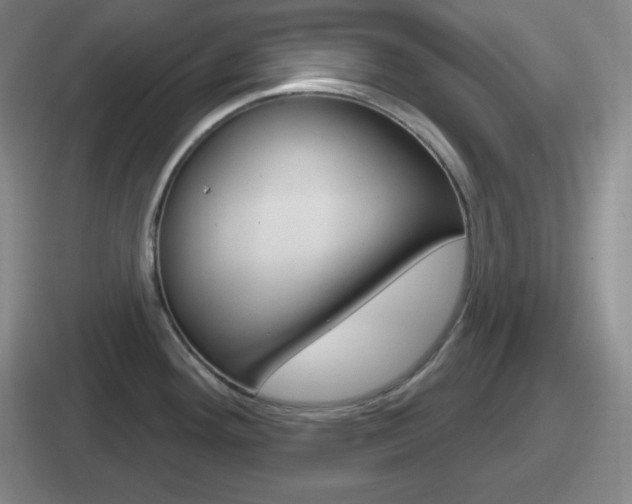 X0000112071292201007220959