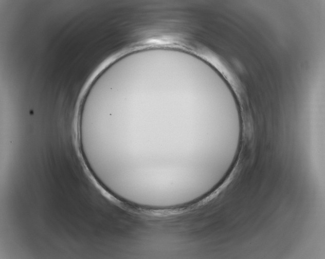 X0000112071294201007220959