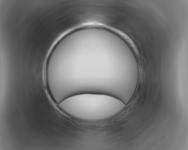 X0000112071295201007220959