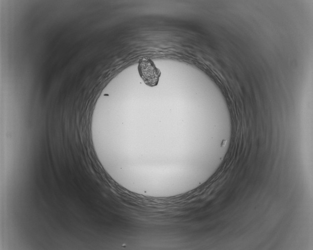 X0000112071298201007220959