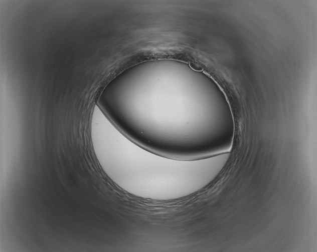 X0000112071300201007220959