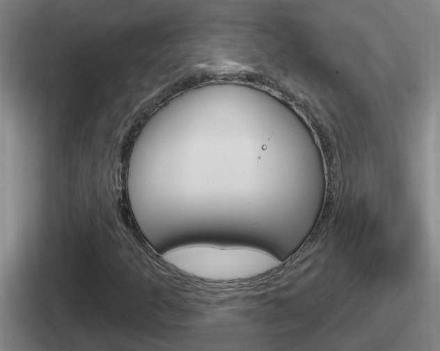 X0000112071301201007220959