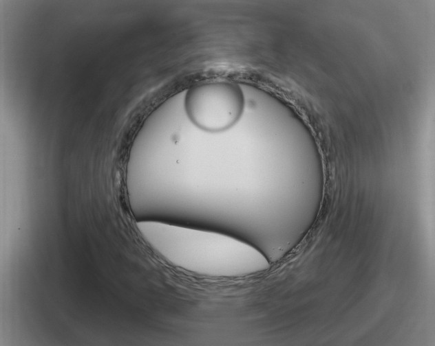 X0000112071302201007220959