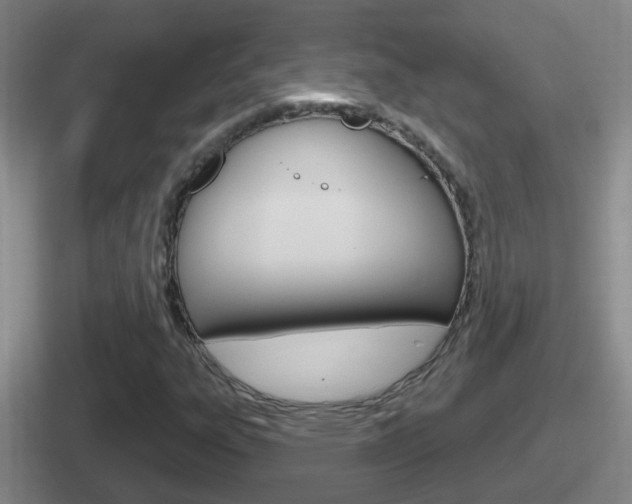 X0000112071303201007220959