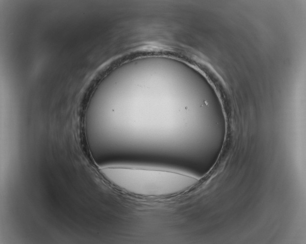 X0000112071304201007220959
