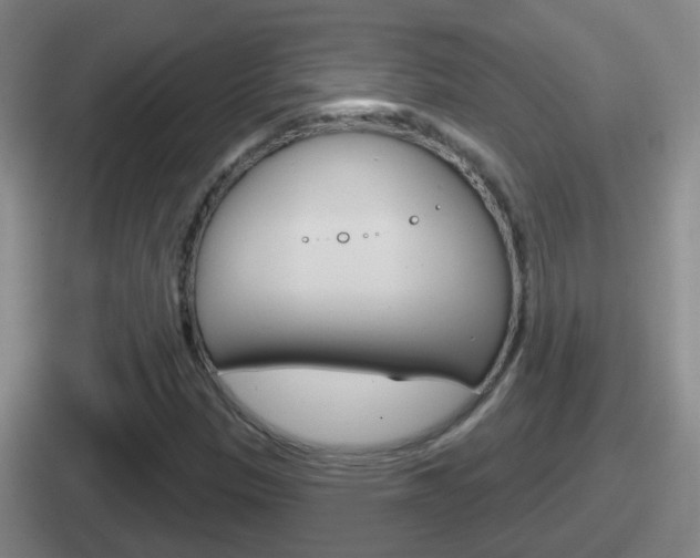 X0000112071305201007220959