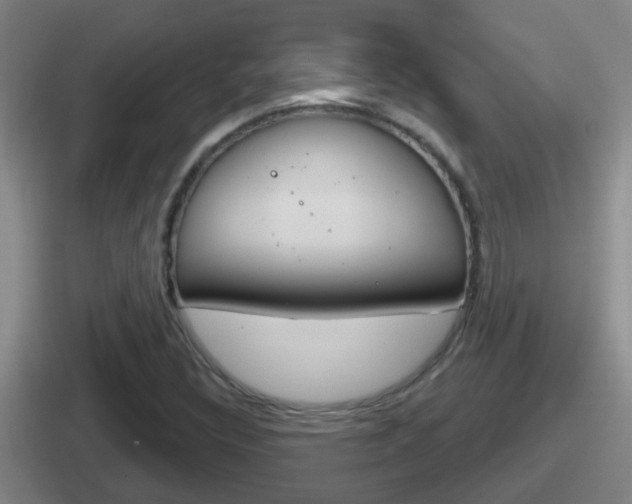 X0000112071308201007220959