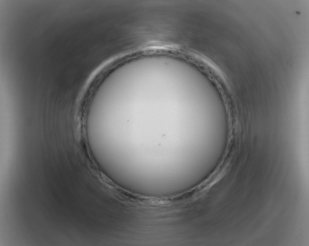X0000112071310201007220959