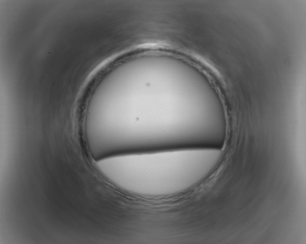X0000112071311201007220959