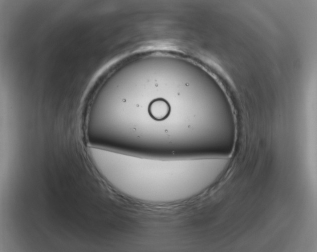 X0000112071312201007220959