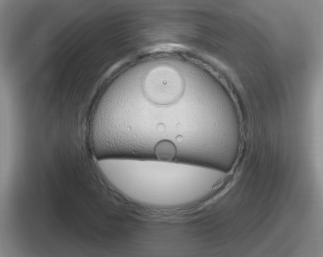 X0000112071313201007220959