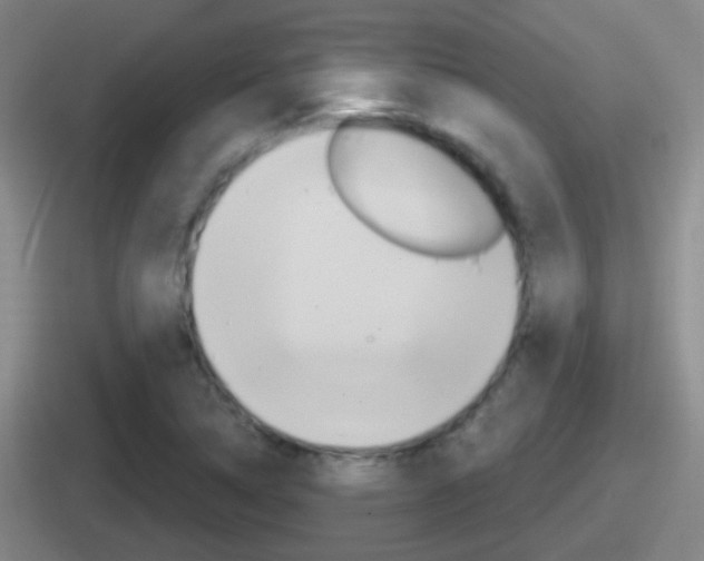 X0000112071314201007220959