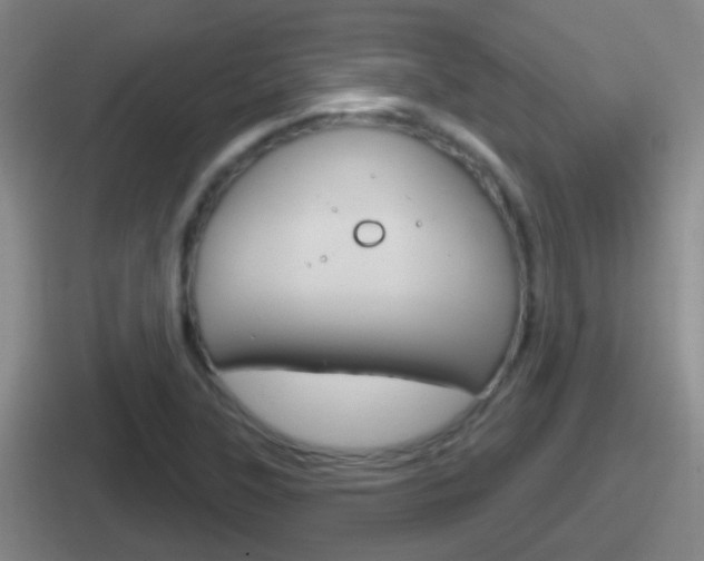 X0000112071315201007220959