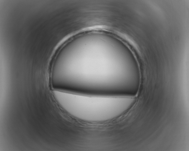 X0000112071316201007220959
