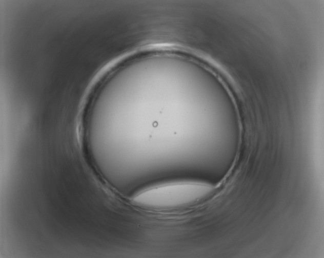 X0000112071319201007220959