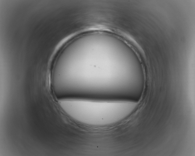 X0000112071320201007220959