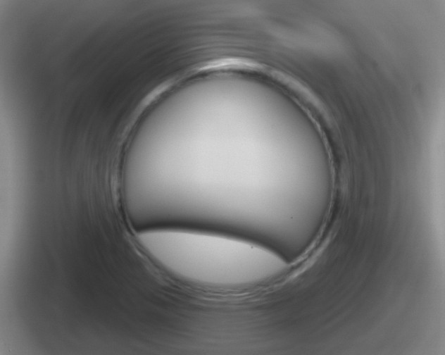 X0000112071321201007220959