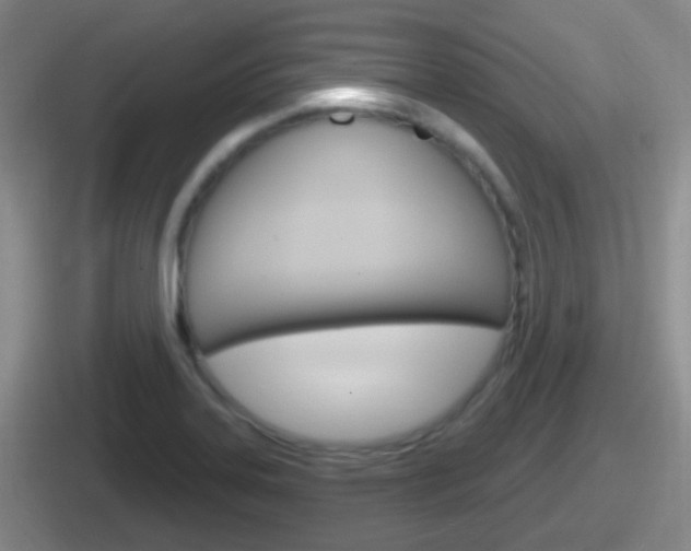 X0000112071323201007220959