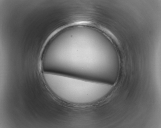 X0000112071324201007220959