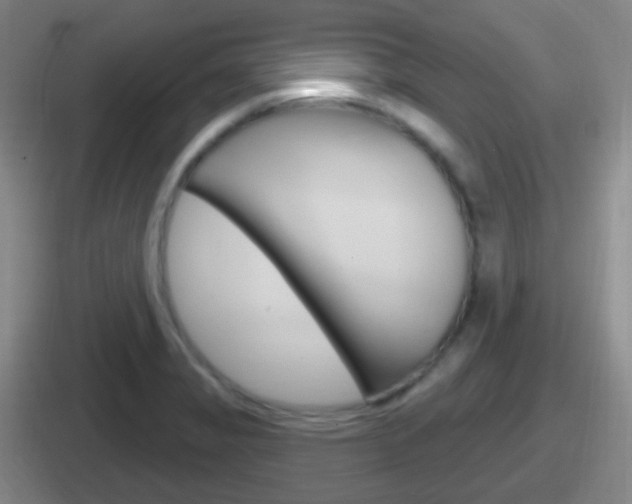 X0000112071325201007220959