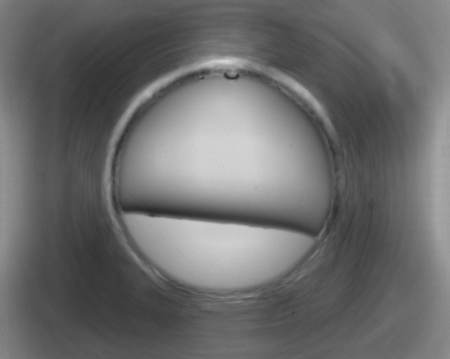 X0000112071327201007220959